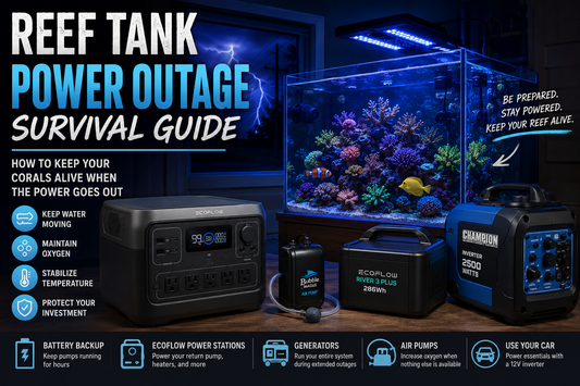 Reef Tank Power Outage Survival Guide: How to Keep Your Corals Alive When the Power Goes Out