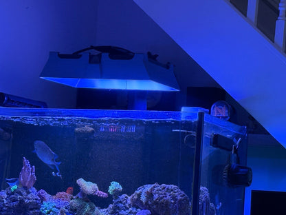 Neptune Systems SKY LED Light Shade