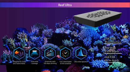 Reef Ultra