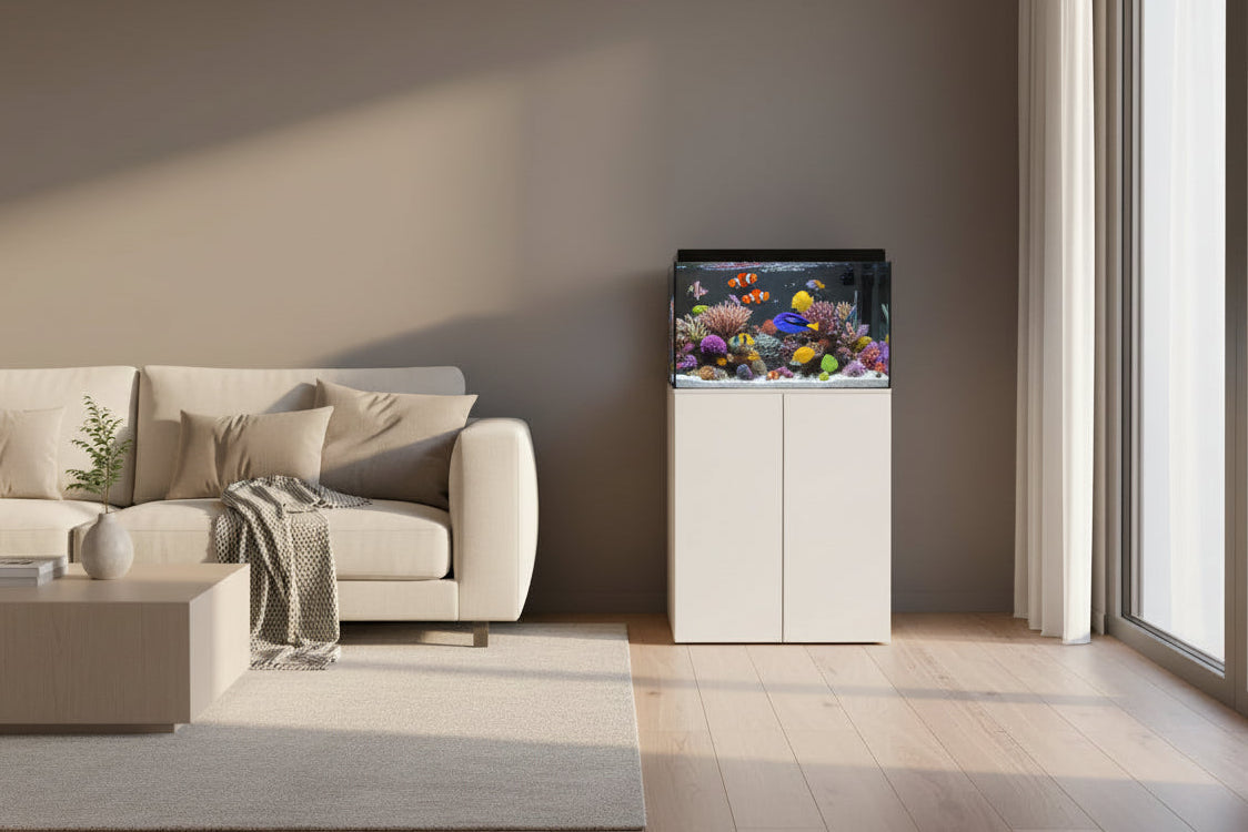 Reef Ready 35-Gallon AIO System