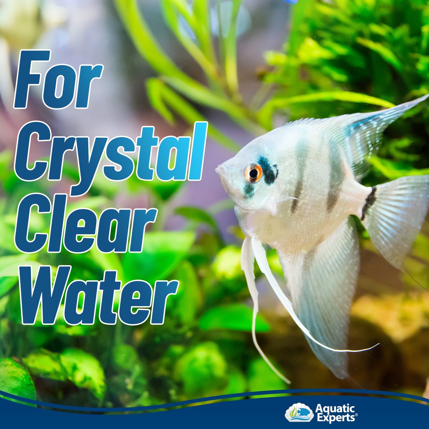 Aquarium Bundle - ClassicBlue 12"x72" + FilterFirst 12"x72" + Polishing Filter Pad 100 Micron - 1 pack