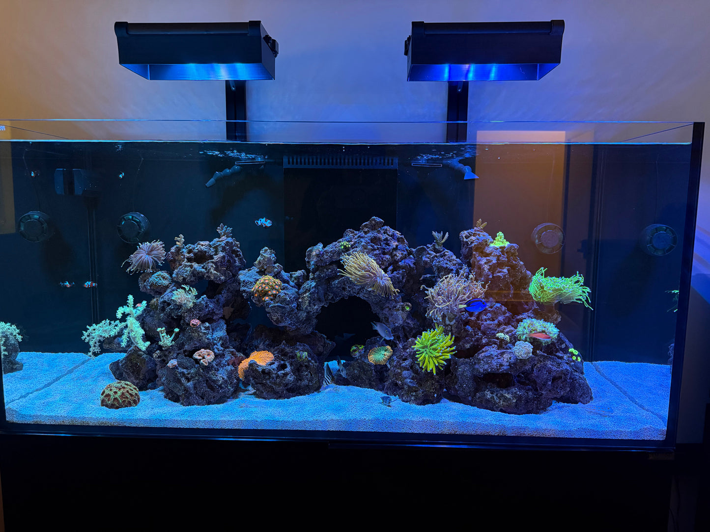 AquaIllumination Hydra Edge 44HD Light Shade