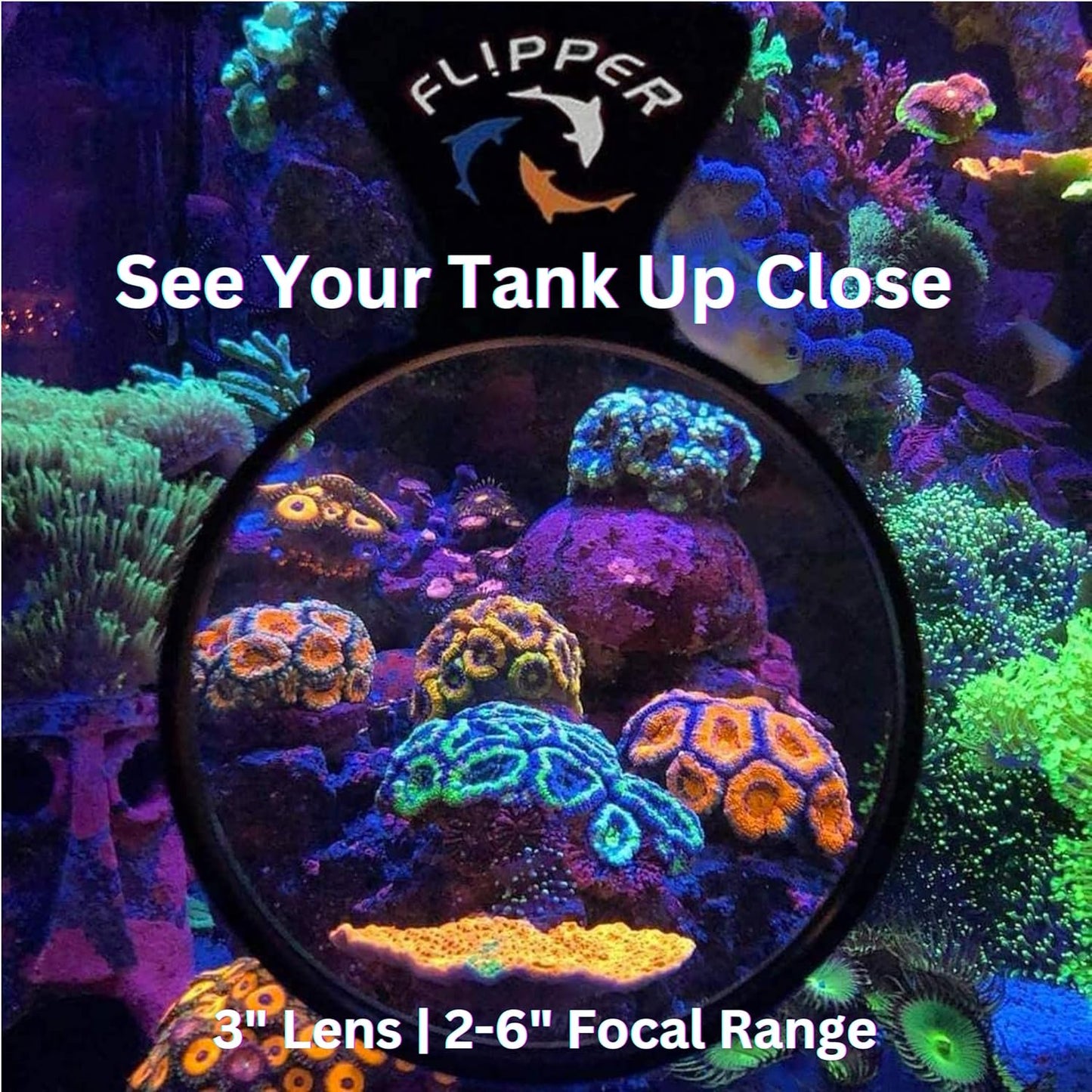 DeepSee Viewer Black Nano 3"