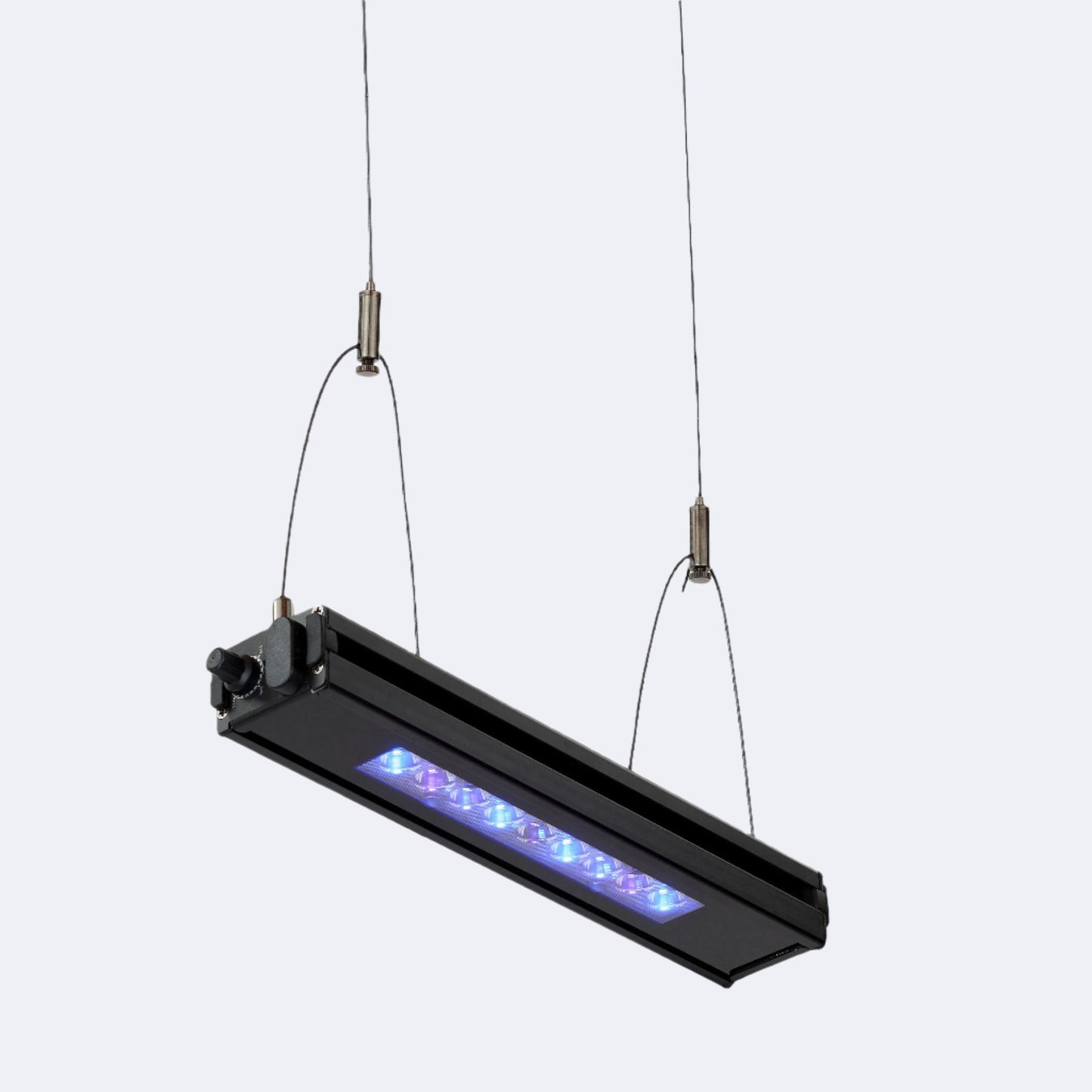 Edge 12