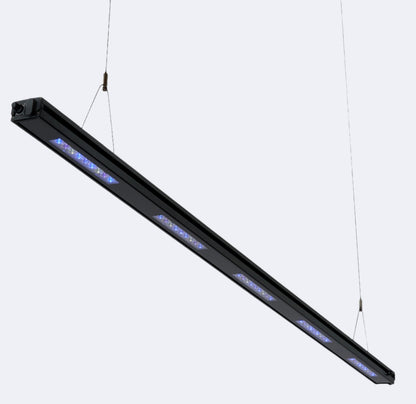 Edge 63