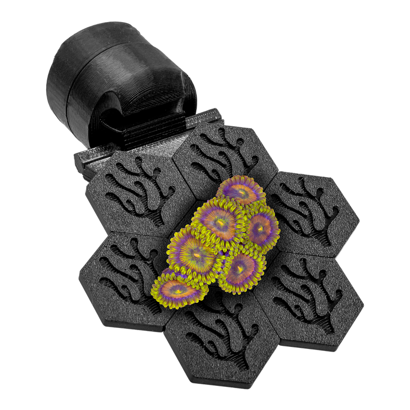 FragLoc™ - Magnetic Coral Frag Grow-Out Kit