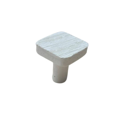 nan coral frag – live coral frag | Gem State Corals