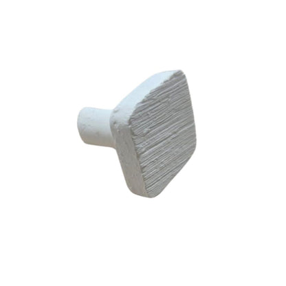 1" Square Frag Plug coral frag – live coral frag | Gem State Corals