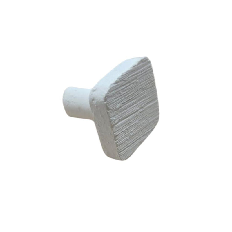 1" Square Frag Plug coral frag – live coral frag | Gem State Corals
