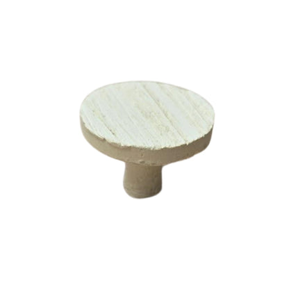 nan coral frag – live coral frag | Gem State Corals