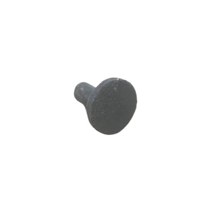 nan coral frag – live coral frag | Gem State Corals