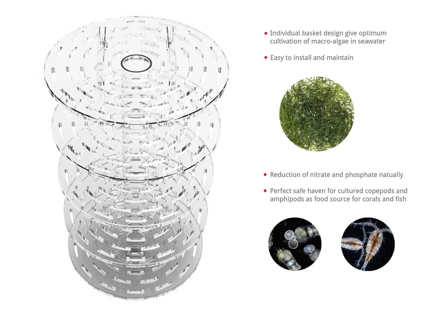 Macroalgae Reactor External