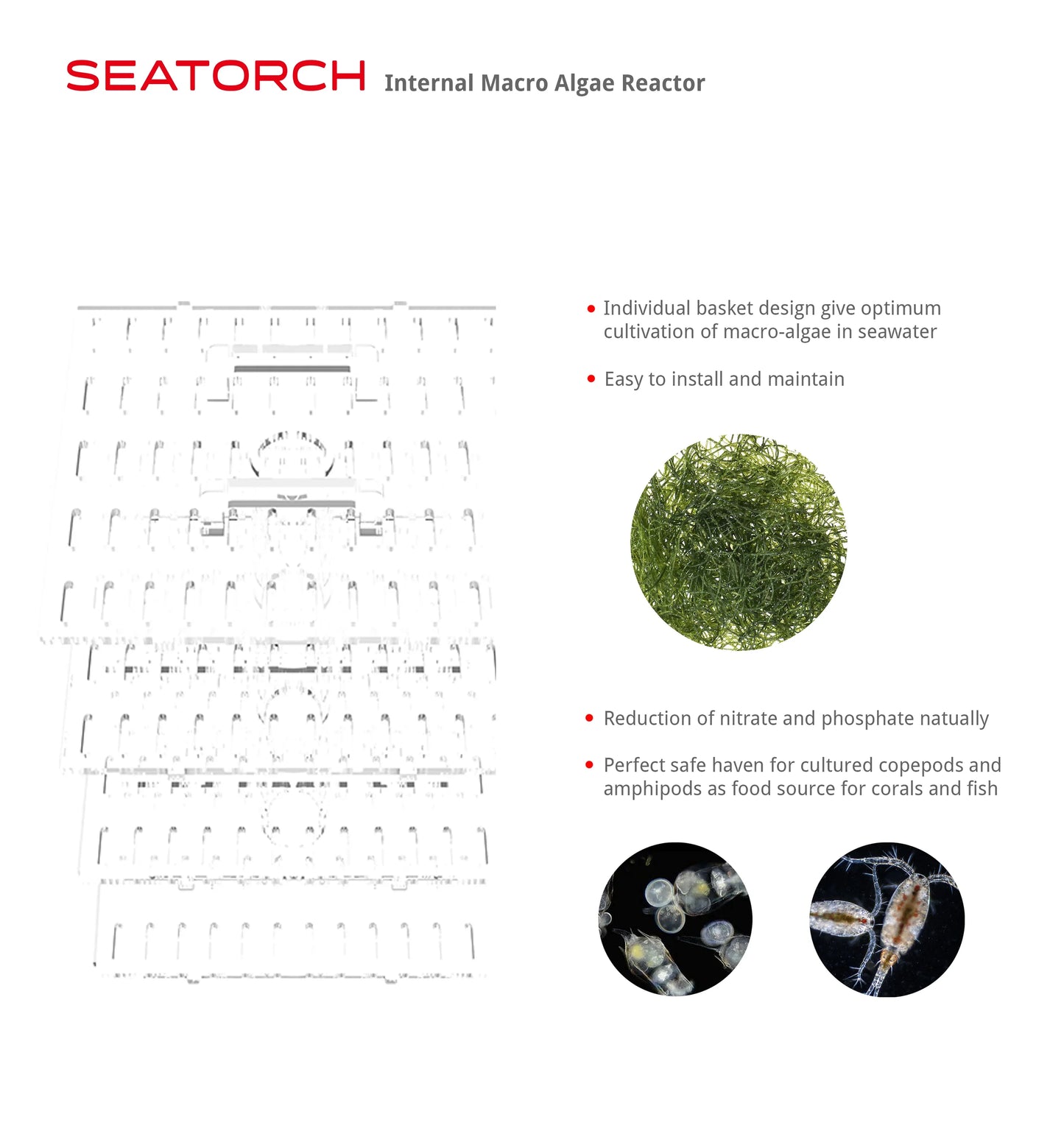 Macroalgae Reactor Internal (Pre-Order Mid-November Release)