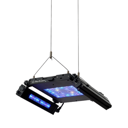 Meridian 11 Edge Bar Bundle