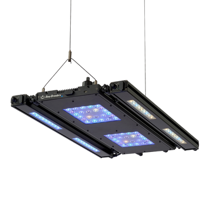 Edge Articulating Mounts