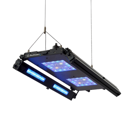Edge Articulating Mounts