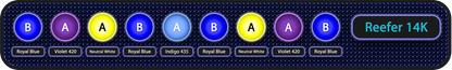 Edge 63