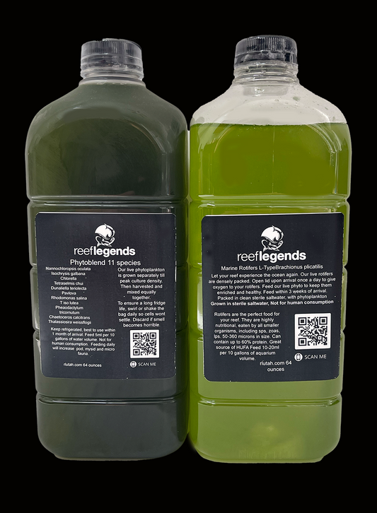 13 Species PhytoBlend & Rotifers