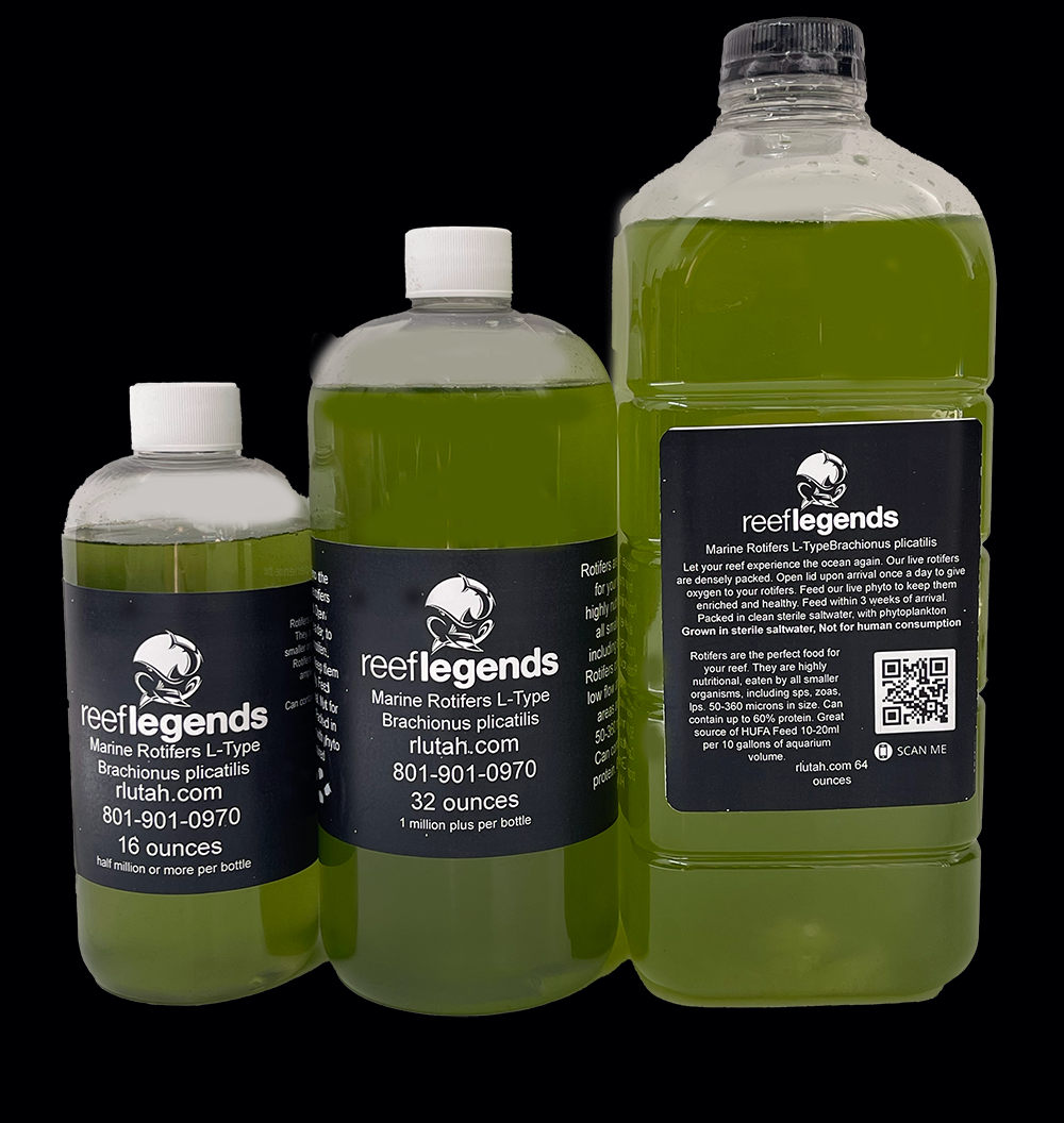 13 Species PhytoBlend & Rotifers