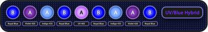 Edge 12