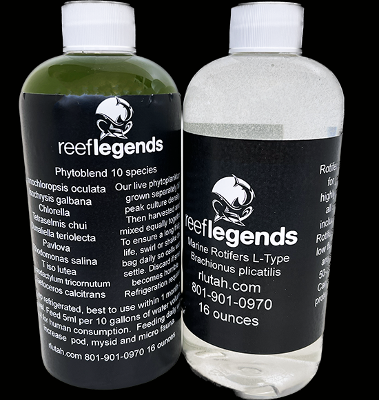 13 Species PhytoBlend & Rotifers