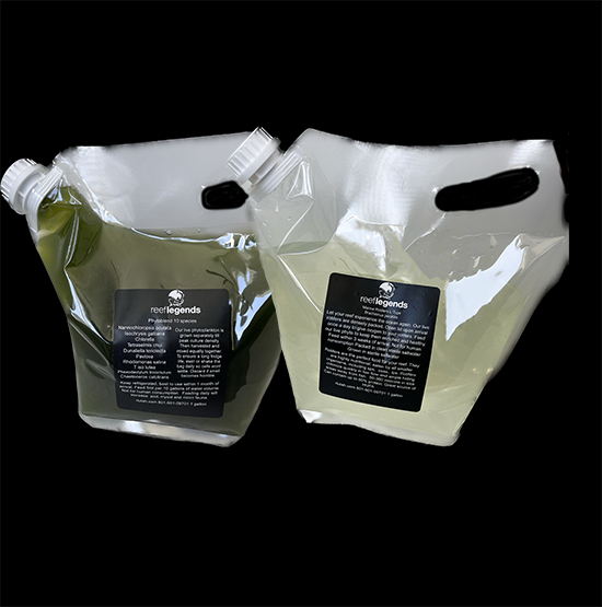 13 Species PhytoBlend & Rotifers