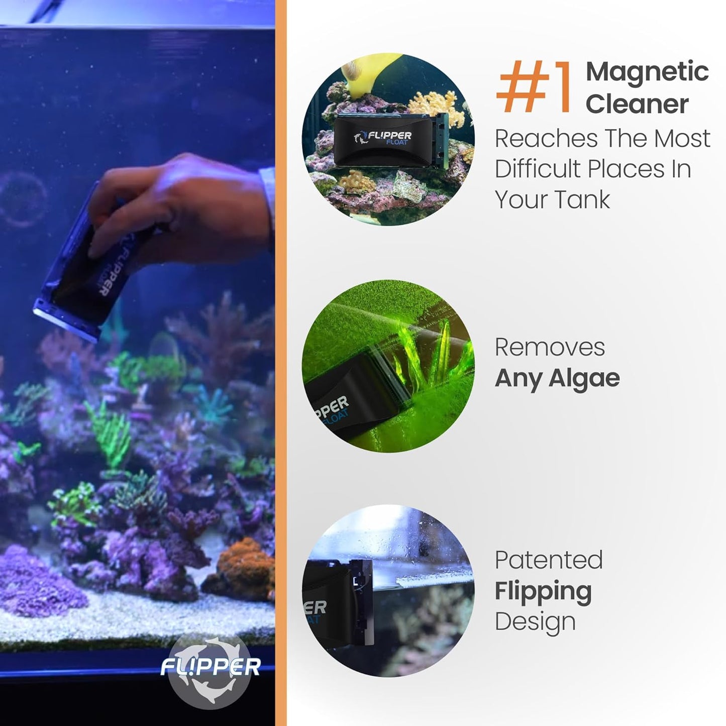 Flipper x Cichlid Bros Bundle