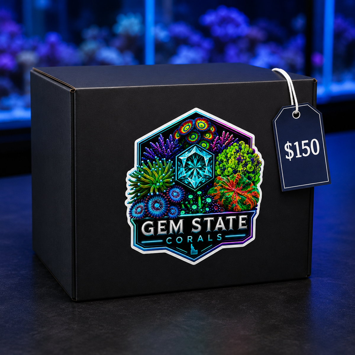 Gem State Corals $150 Custom Reef Box