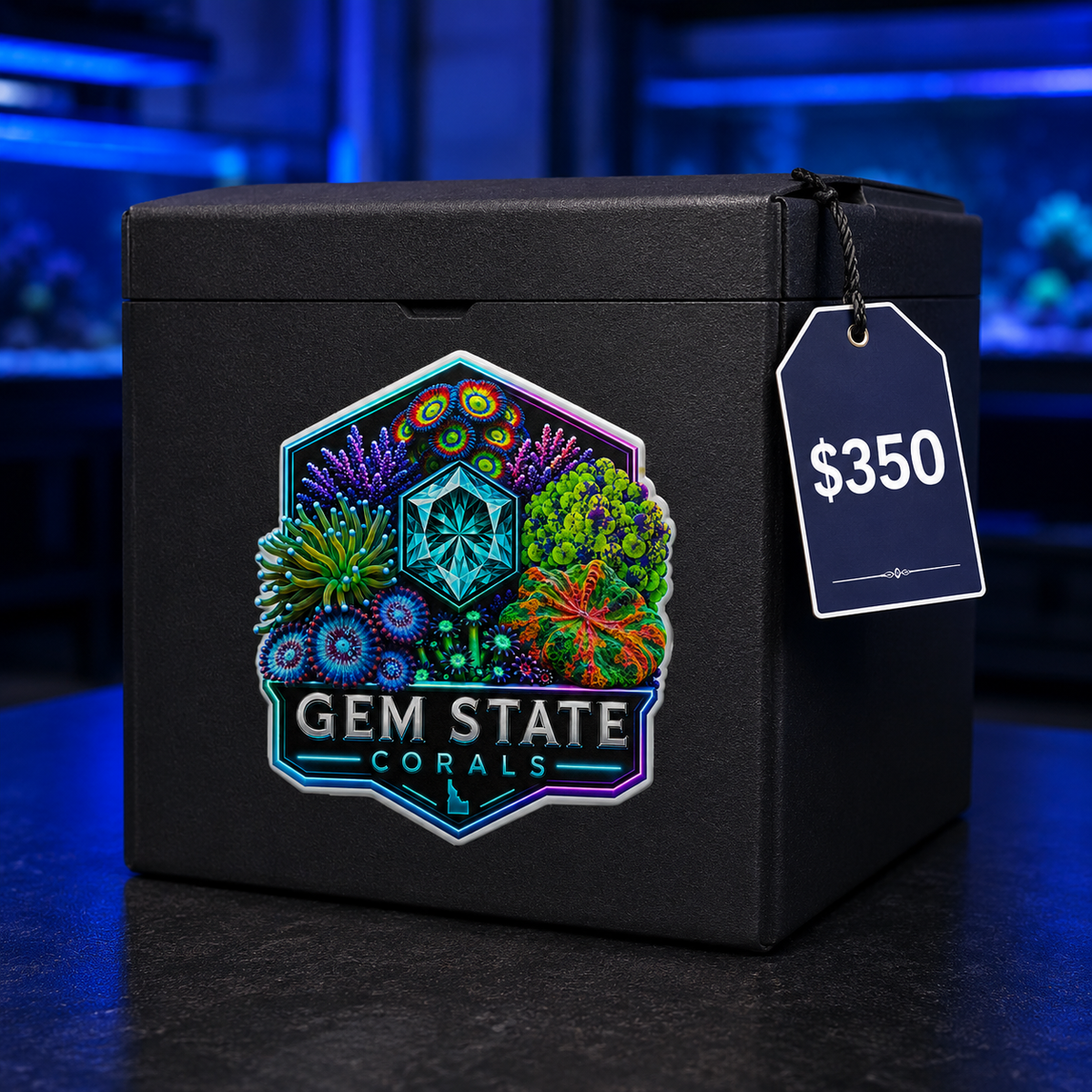 Gem State Corals $350 Custom Reef Box