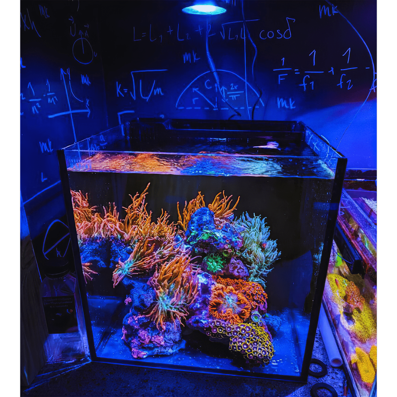 Pixel LED Bundles
