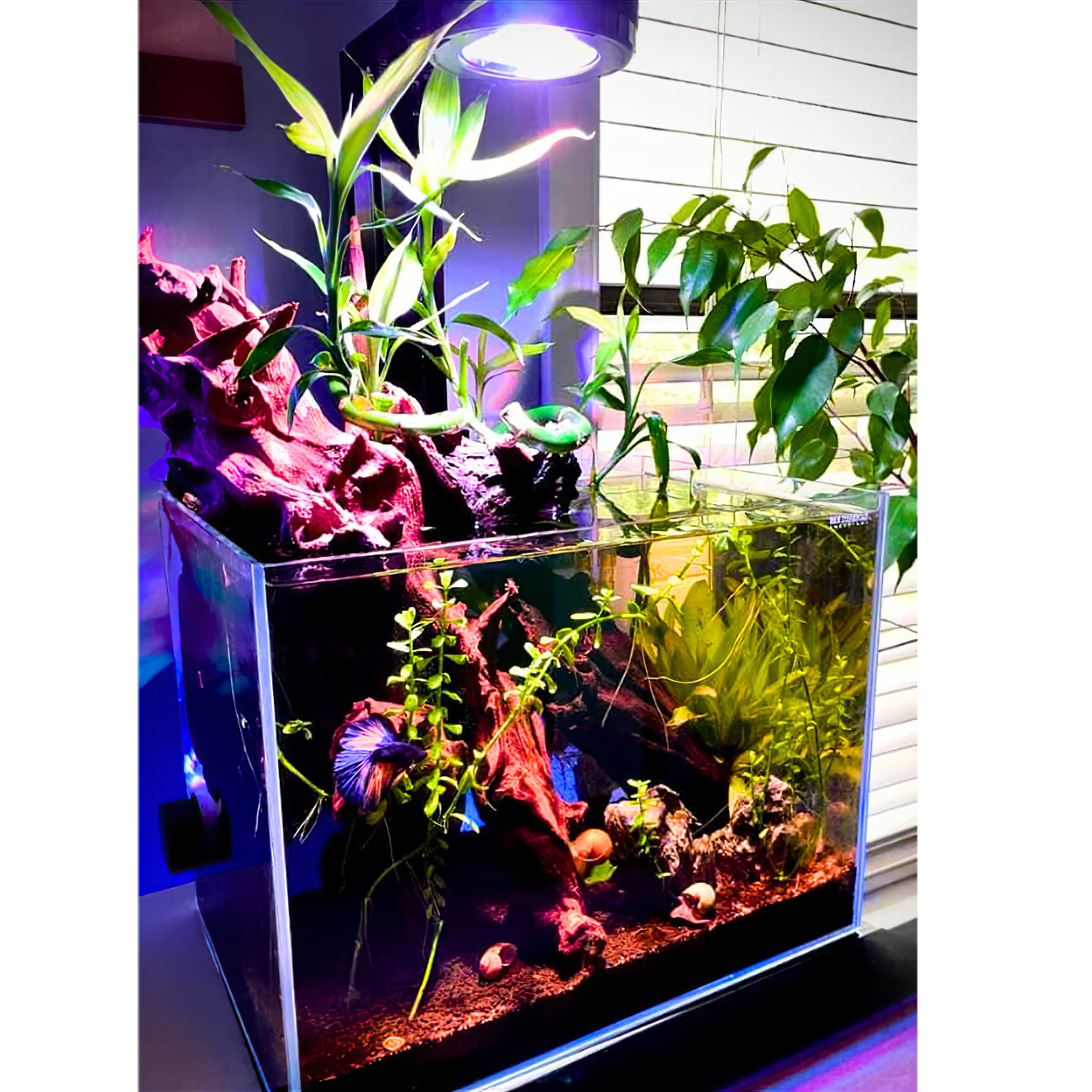 Pixel LED Bundles
