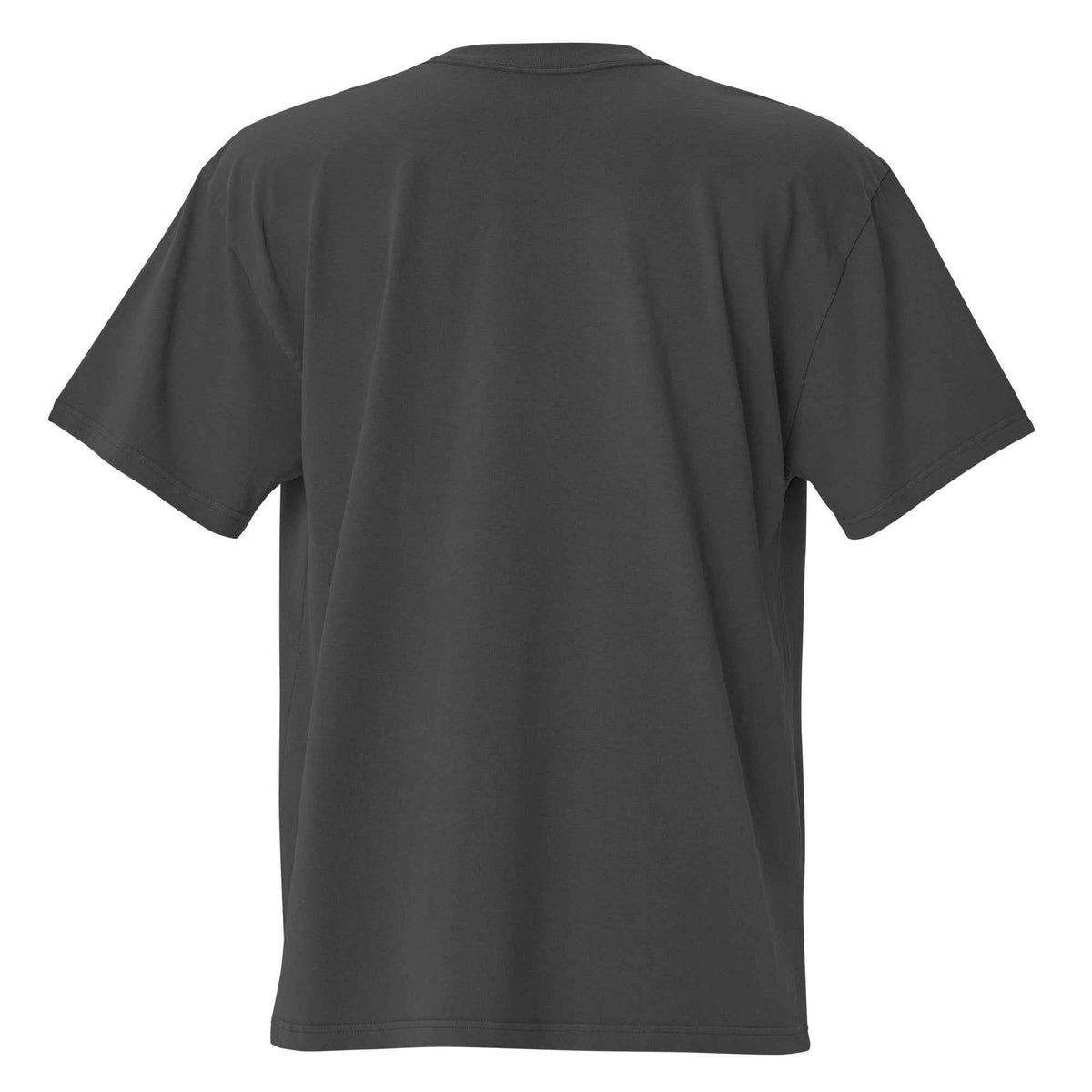 Gem State Corals Oversized Faded T-Shirt by Gem State Corals