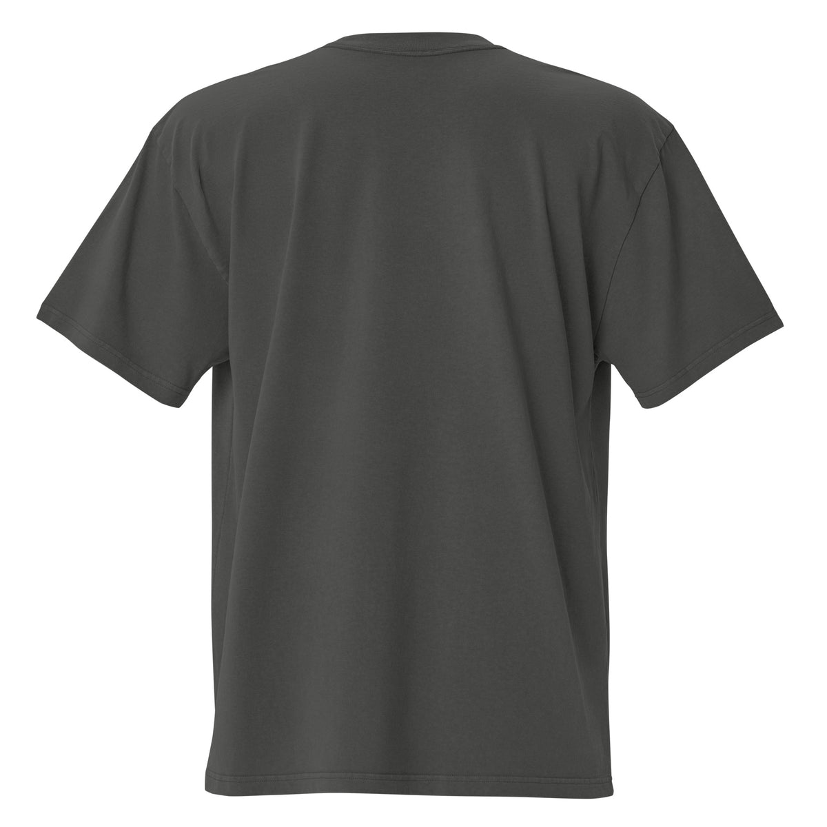 Gem State Corals Oversized Faded T-Shirt by Gem State Corals
