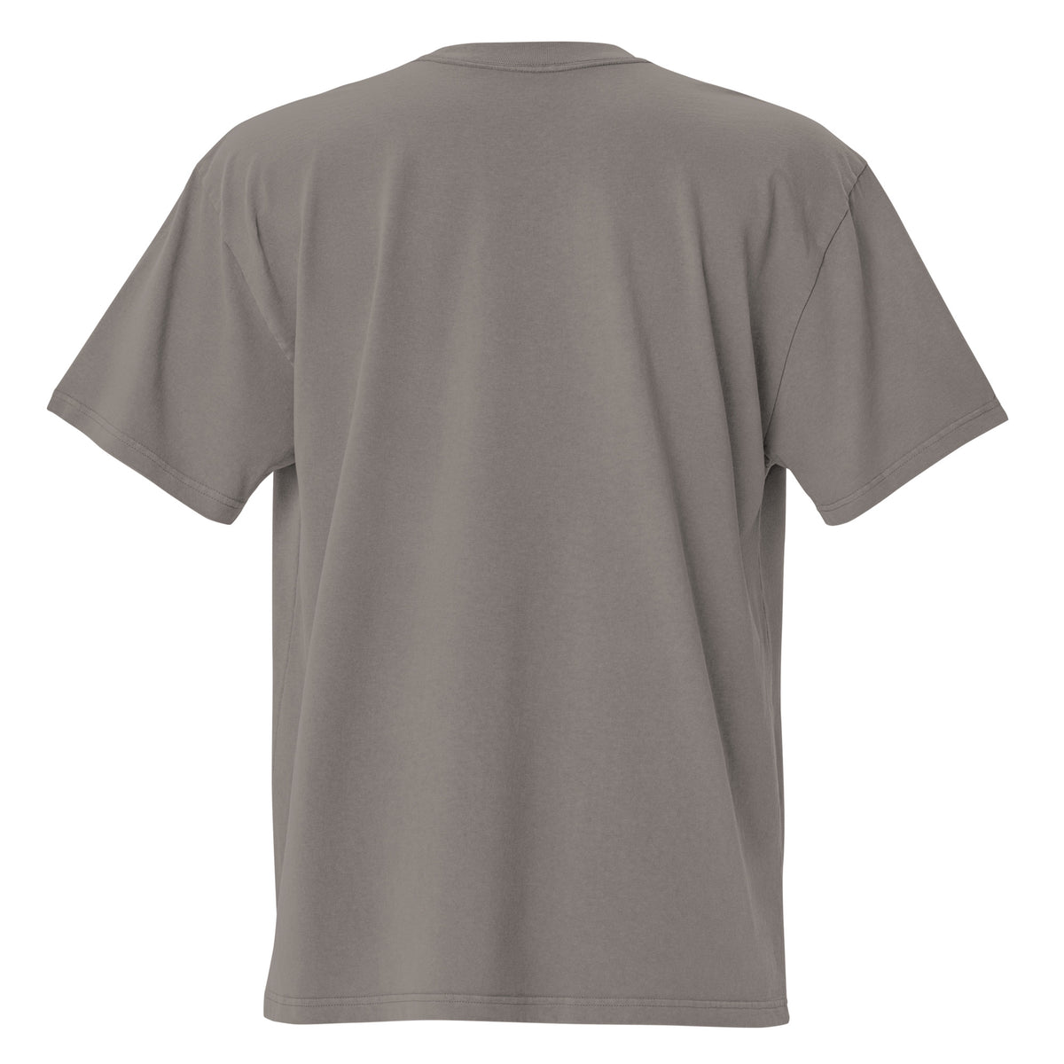 Gem State Corals Oversized Faded T-Shirt by Gem State Corals
