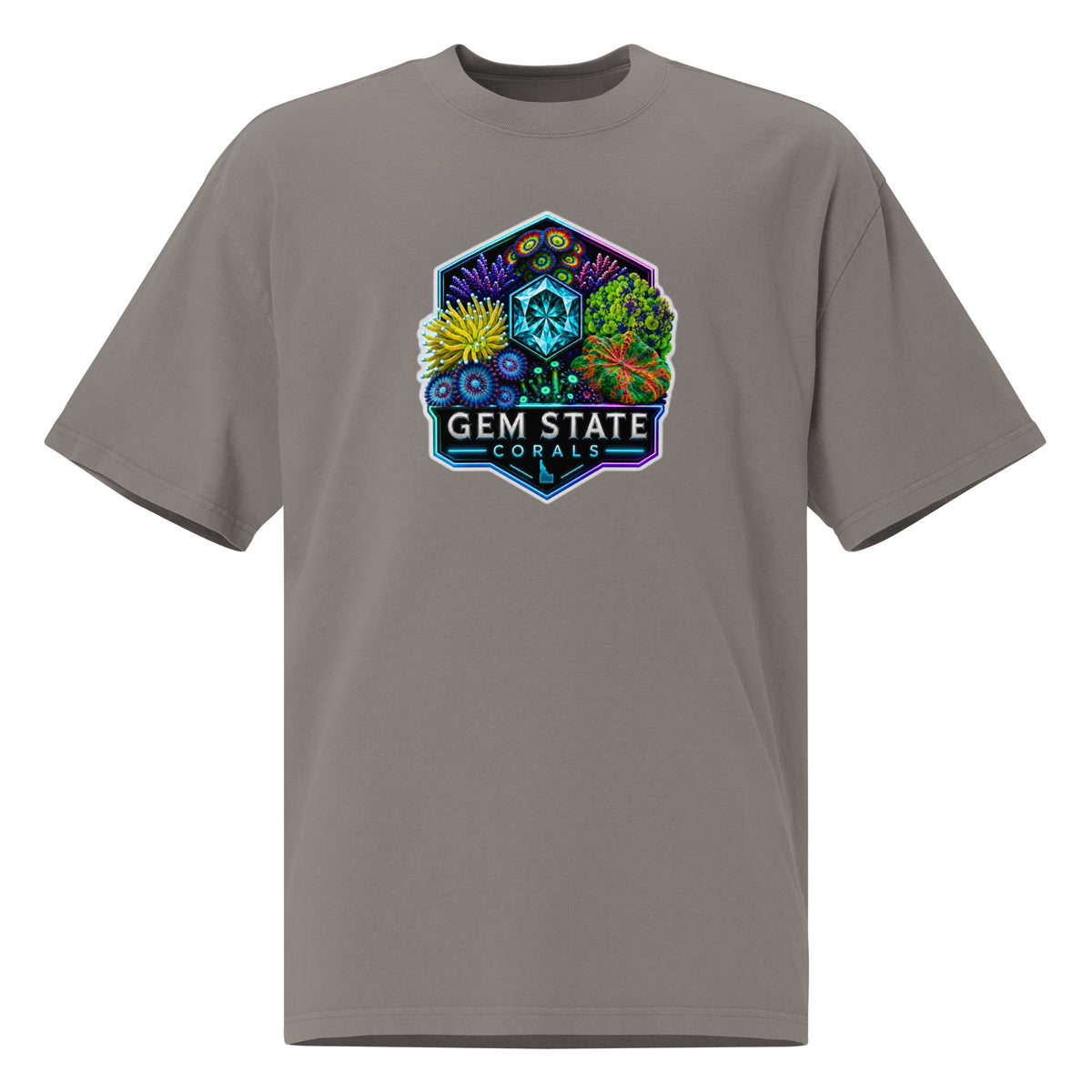 Gem State Corals Oversized Faded T-Shirt by Gem State Corals
