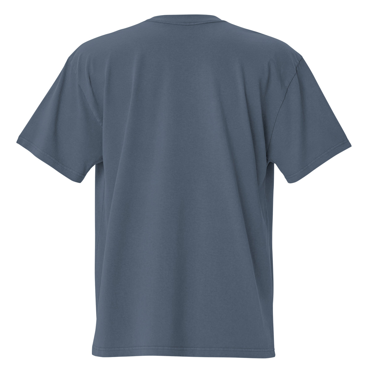 Gem State Corals Oversized Faded T-Shirt by Gem State Corals