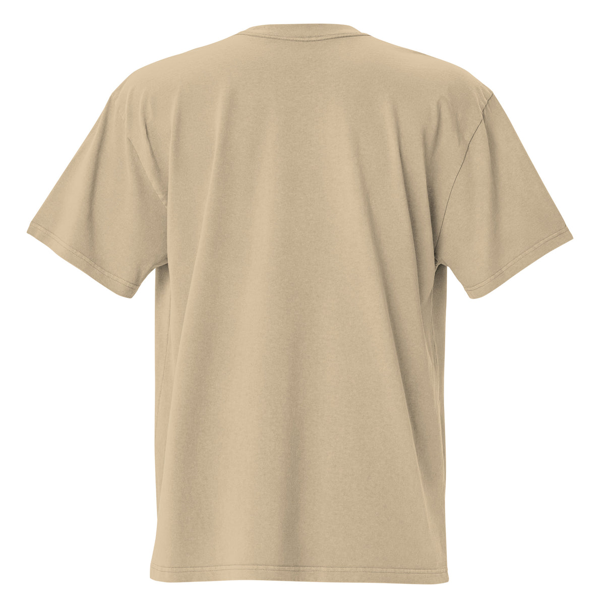 Gem State Corals Oversized Faded T-Shirt by Gem State Corals