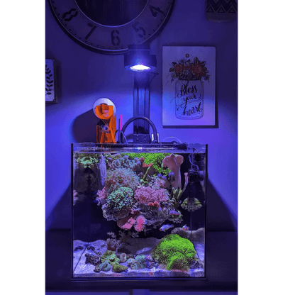 Pixel LED Bundles